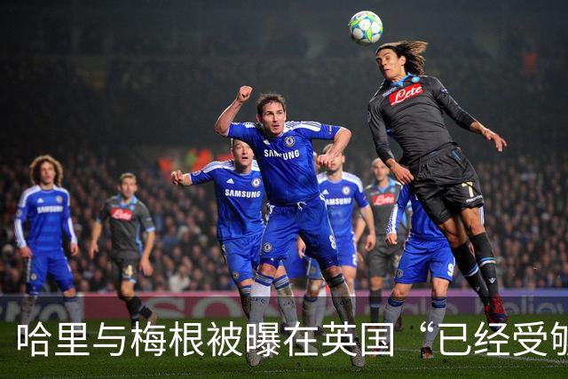 哈里与梅根被曝在英国“已经受够了”,坦言想念美国加州的“家”